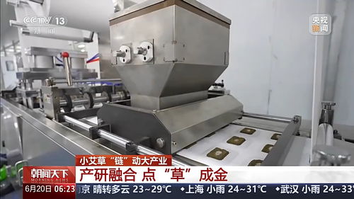 从田间到餐桌 小艾草如何变身日用品，撬动大产业